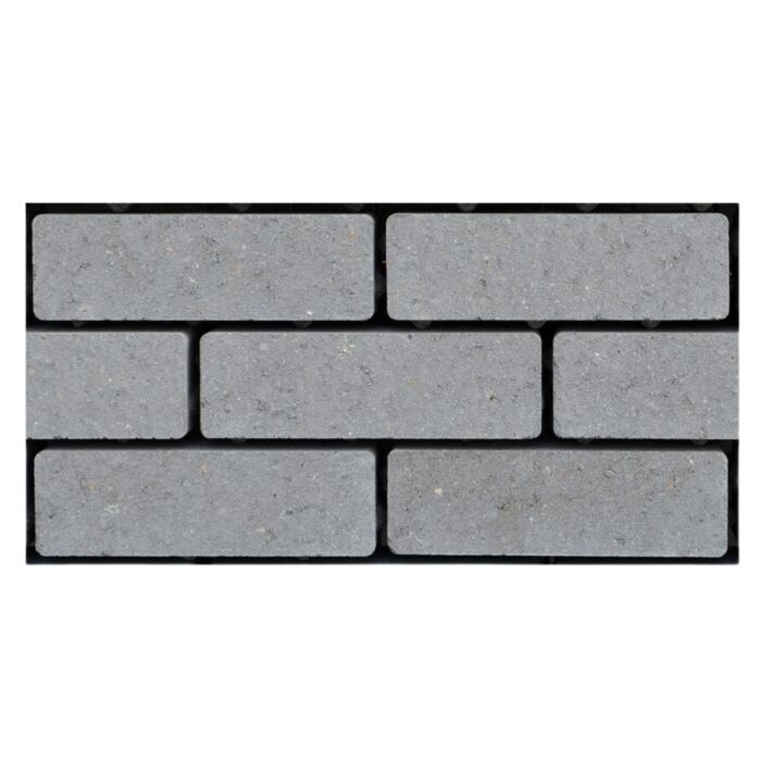 Waalklinker Waterpasserend ongetrommeld Grijs 20 x 6,5 x 8 cm (6,32 m²)