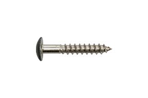 Gevelschroef RAL 7016 antracietgrijs inox