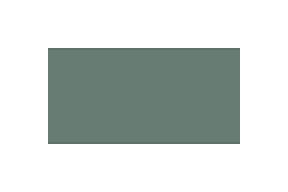 Winckelmans Vert Uni 10x10