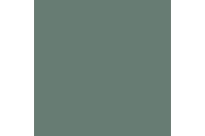 Winckelmans Vert Uni 10x10