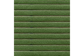 15363 grass