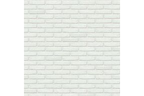 nelissen blanco
